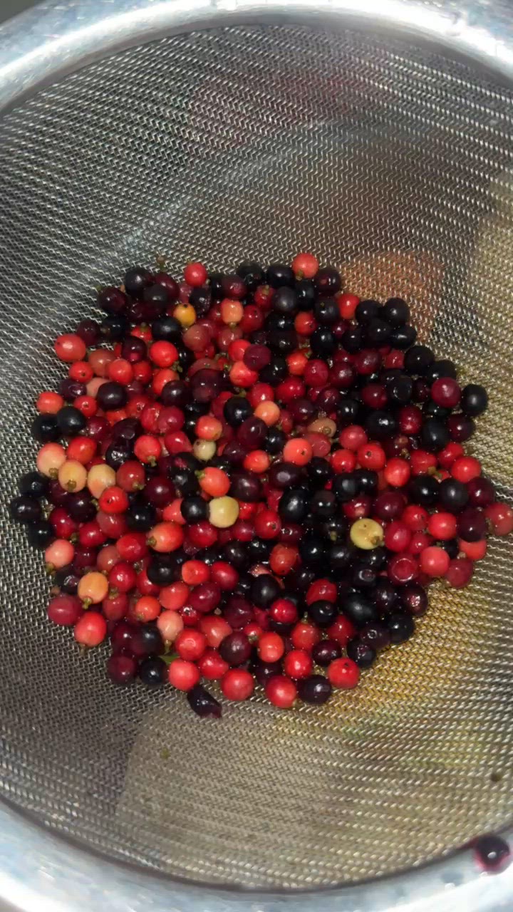 Foto langkah ke 4 dari resep Bumbu Rujak Buni (Modifikasi).