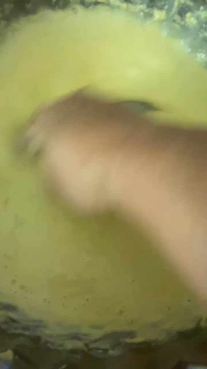 A picture of step 4 of Rabdi Kesar Ghewar.