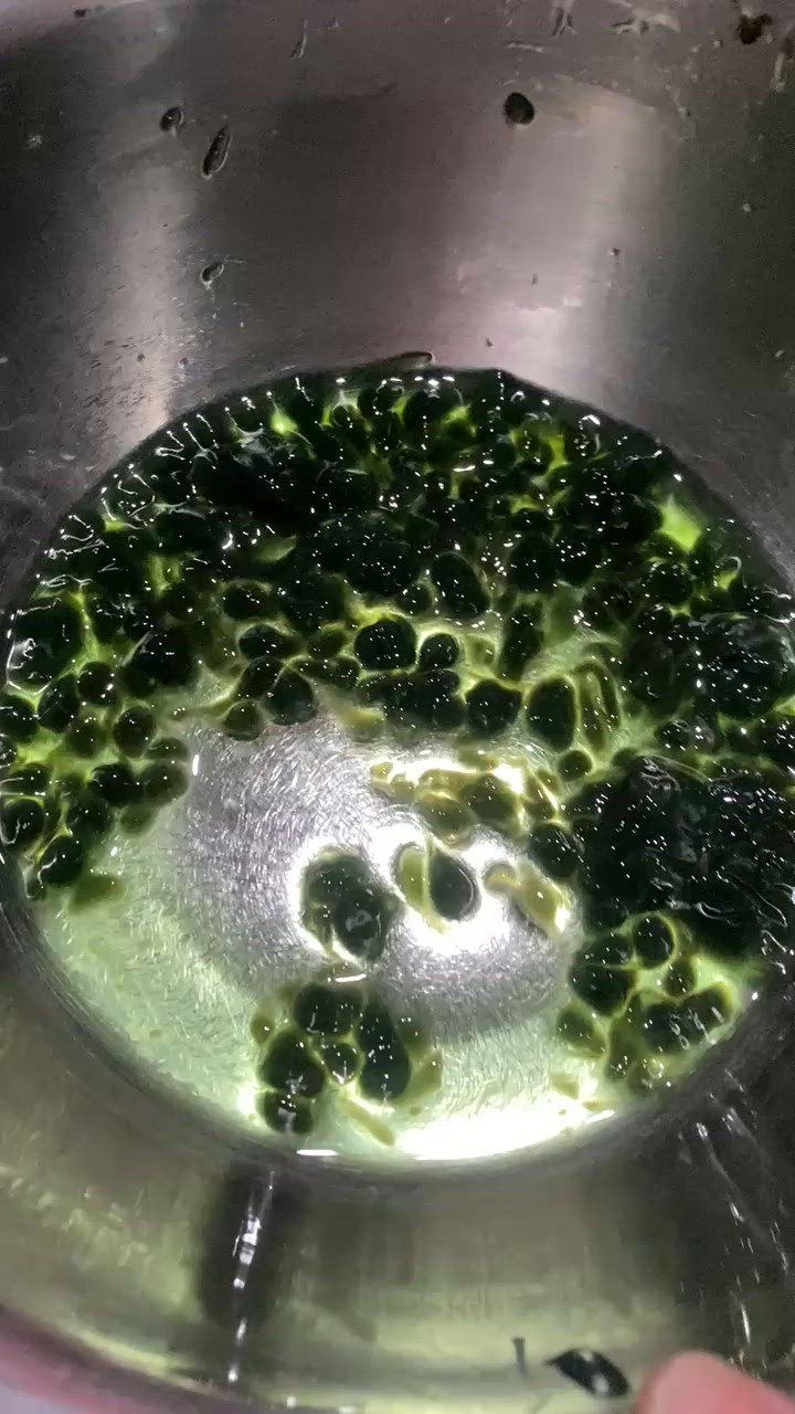 Foto langkah ke 5 dari resep Es Cincau Kecebong.