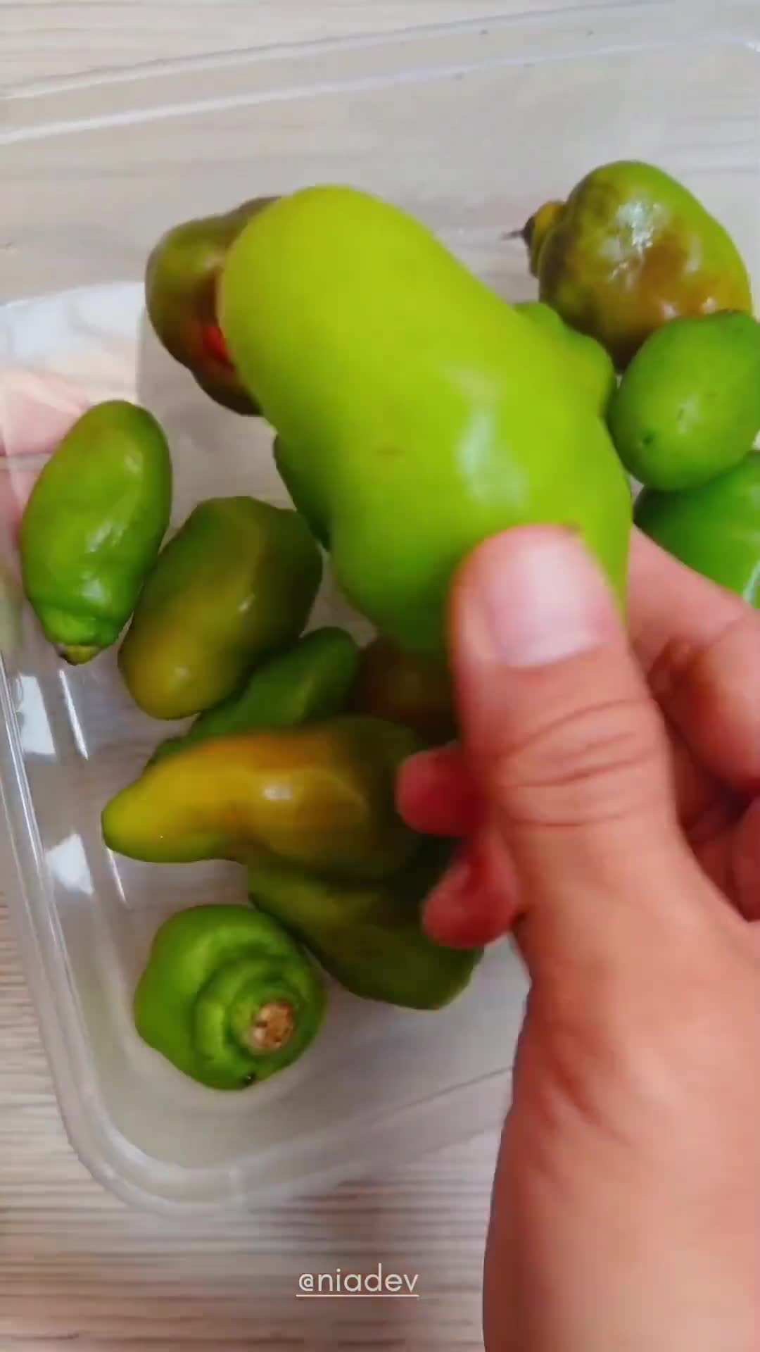 Foto langkah ke 1 dari resep Acar Cabe Gendot.