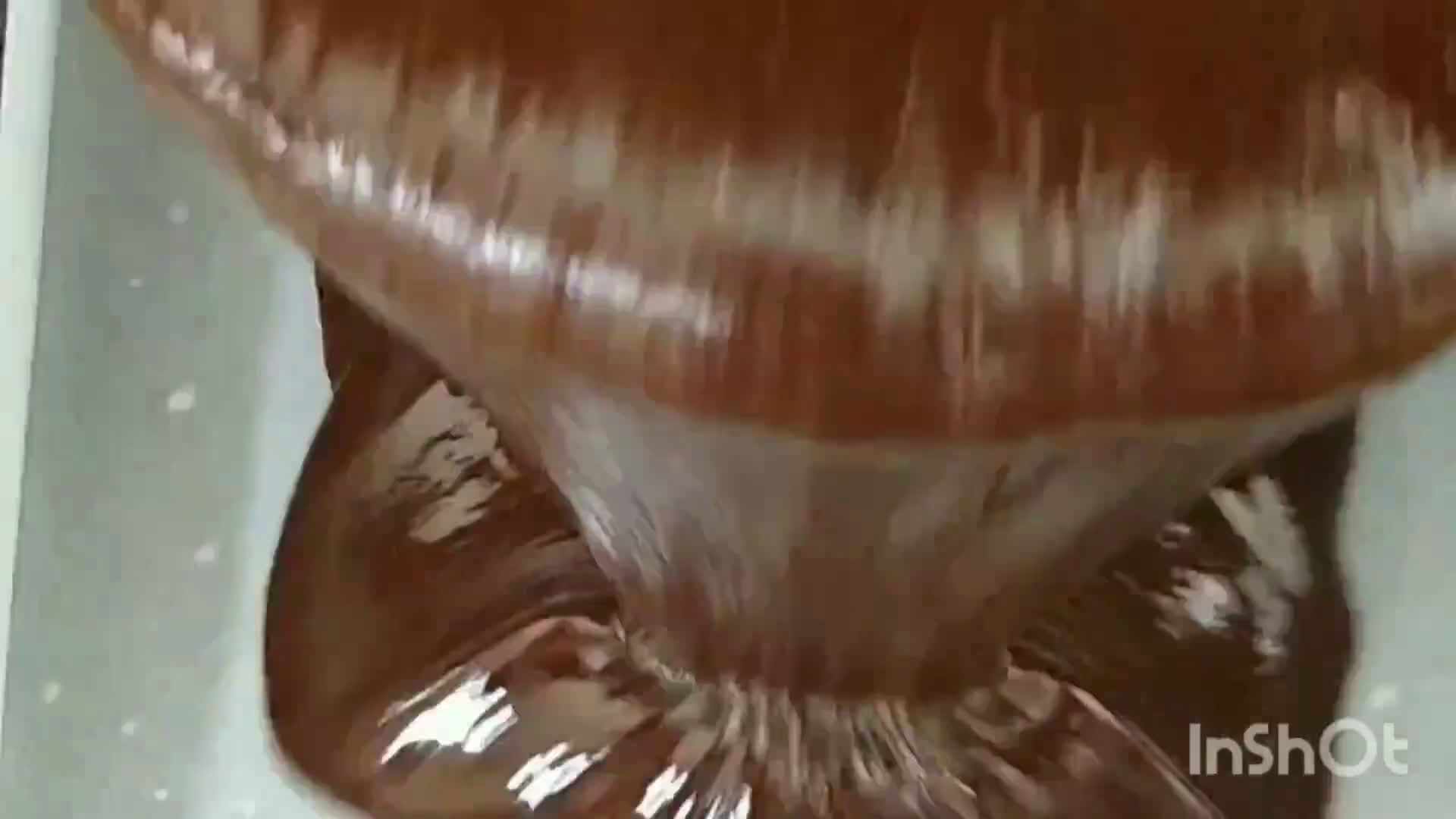 Foto del paso 1 de la receta: Marquise con Dulce de leche y arándanos