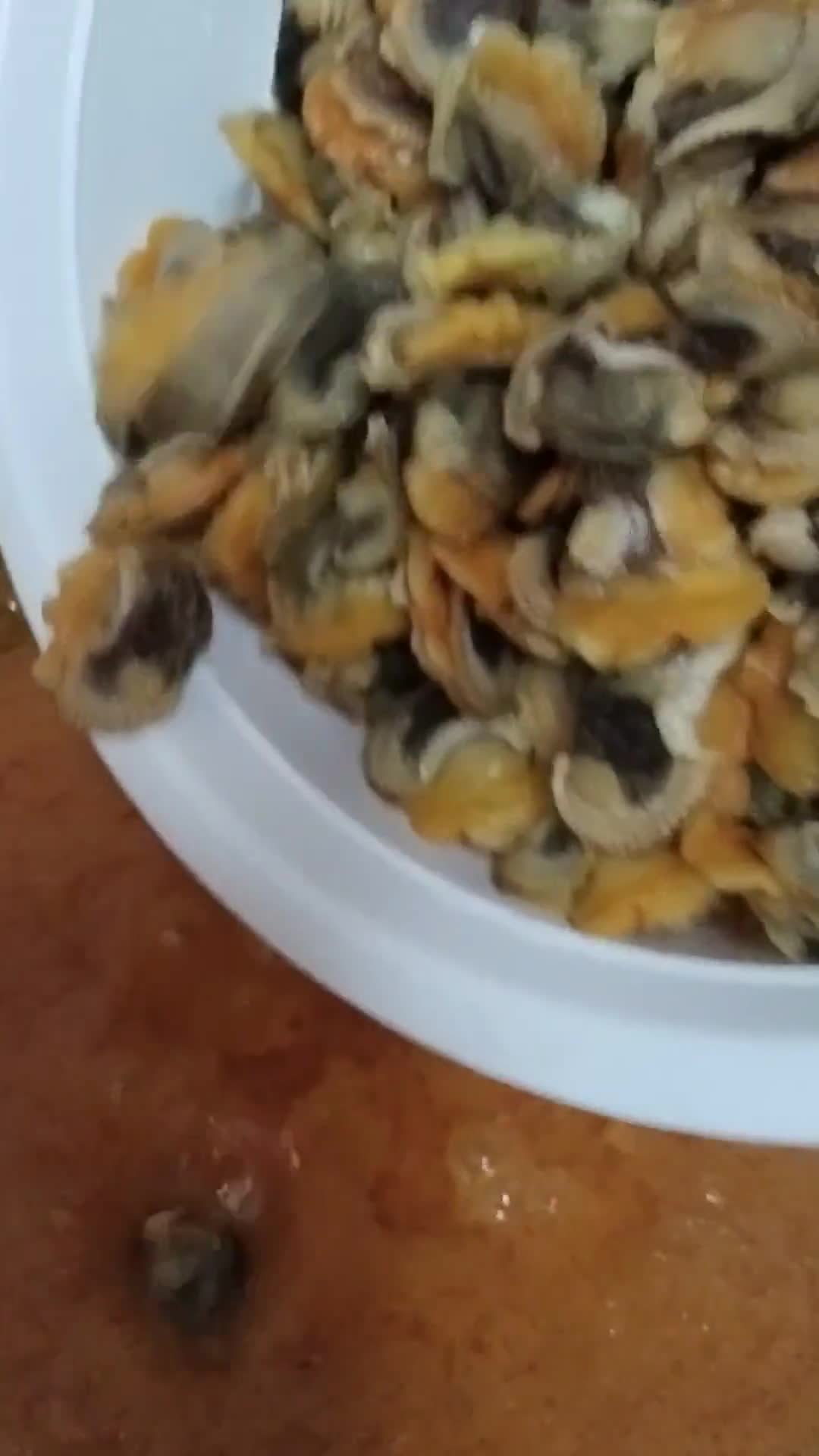 Gambar langkah 2 resipi Rendang kerang.