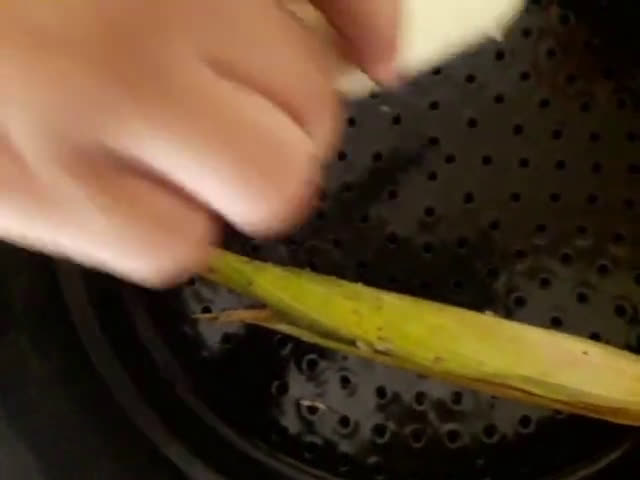 Foto langkah ke 6 dari resep Lepet Jagung Manis.
