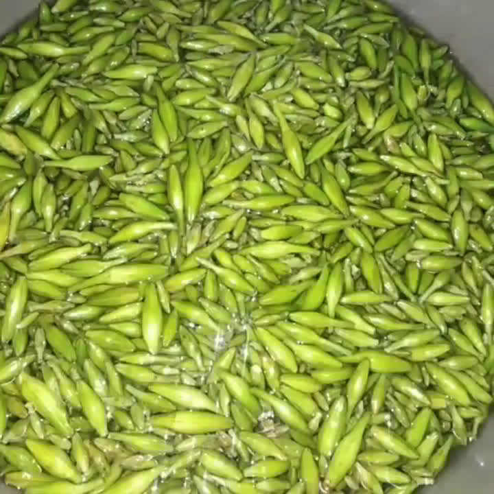 A picture of step 1 of قورمہ کچنار.