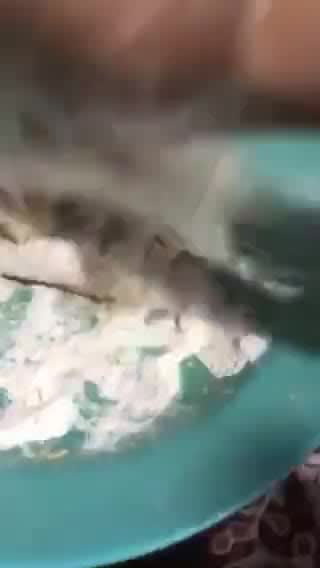 Foto langkah ke 2 dari resep 488. Simpel Stik Ikan.