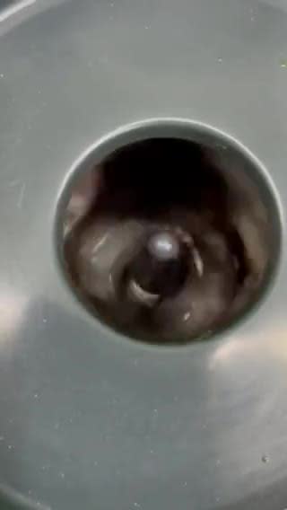 Gambar langkah 3 resipi Kek Coklat Viral.