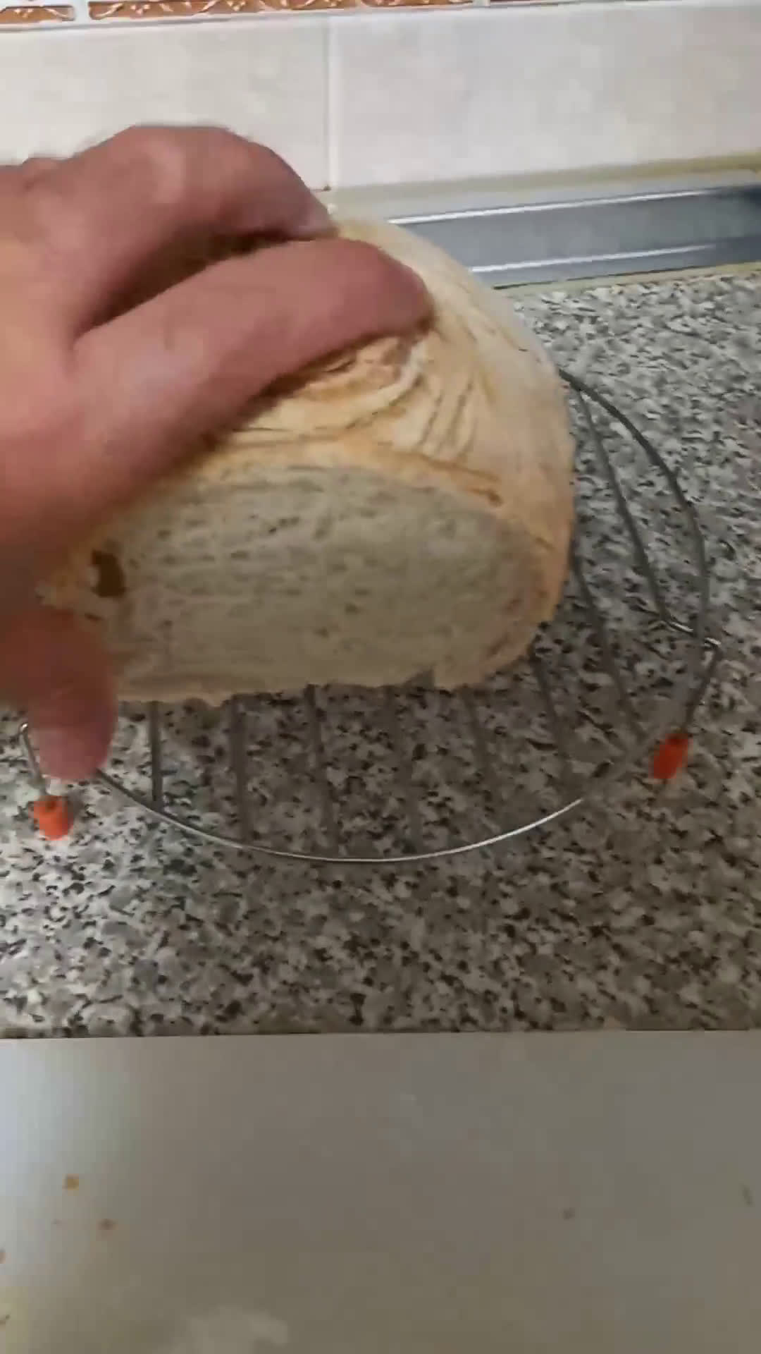 Foto del paso 14 de la receta: Pan de payés sin gluten