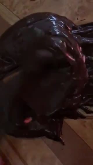Foto del paso 2 de la receta: Bombones de chocolate