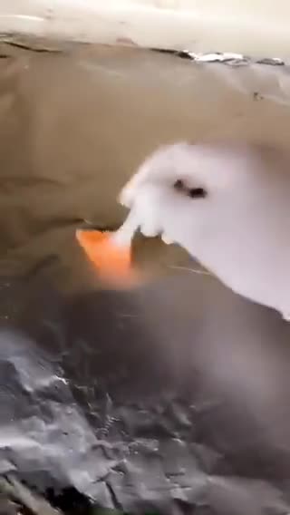 صورة لخطوة 4 من وصفة الليزي كيك