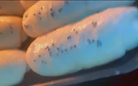 صورة لخطوة 5 من وصفة خبز الصمون بطريقه جداً سهلة وبسيطه