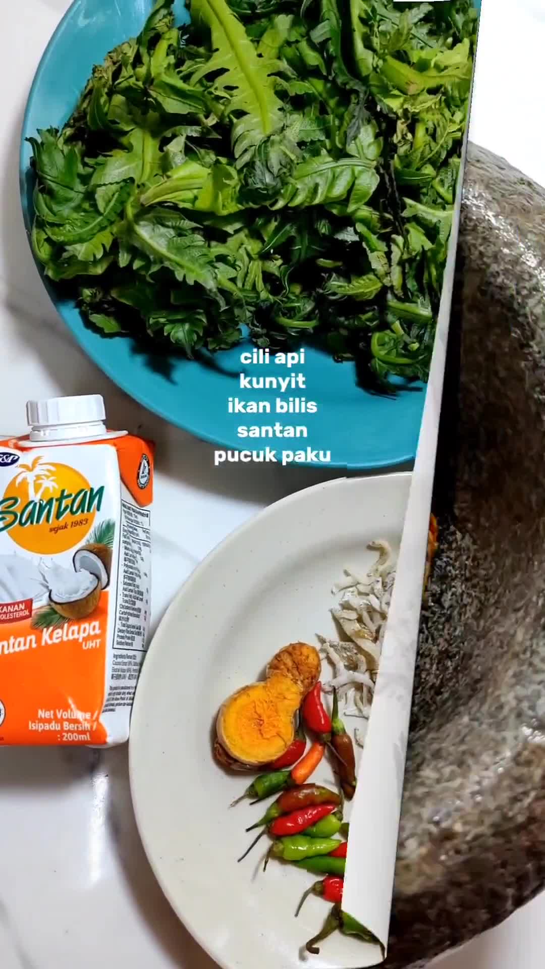 Gambar langkah 2 resipi Pucuk Paku Masak Lemak Cili Api.