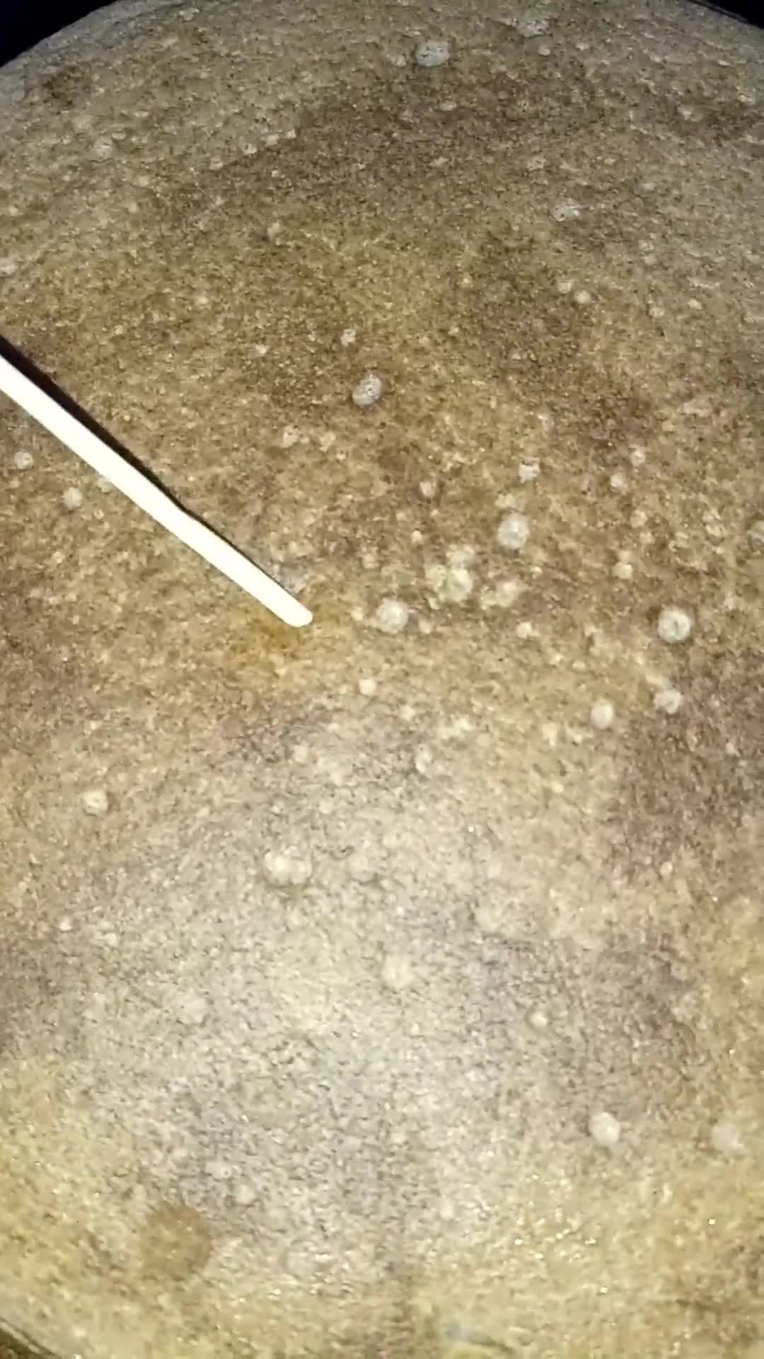 Foto del paso 12 de la receta: Bizcochuelo de chocolate para celíacos