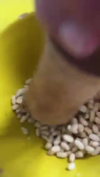 Foto del paso 3 de la receta: Pesto de albahaca y piñones, en el mortero