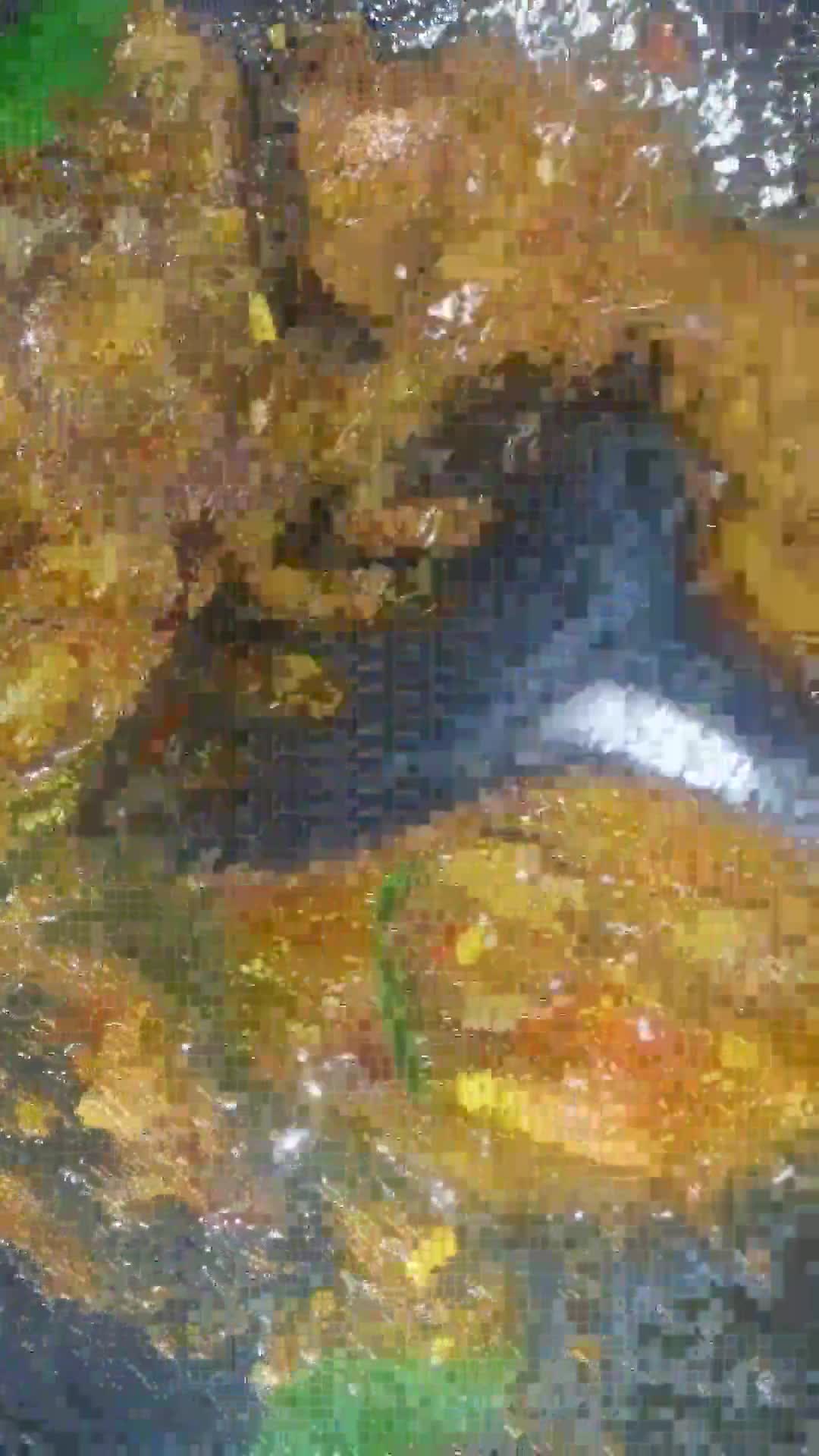 Foto langkah ke 3 dari resep Rica-rica Ampela.