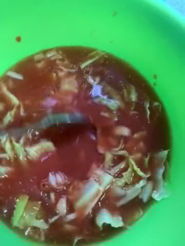 Foto del paso 5 de la receta: Caldo de ensalada