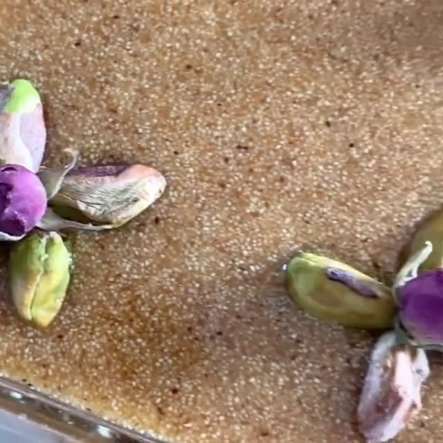 صورة لخطوة 2 من وصفة طمينة المولد النبوي الشريف ❤️🥰