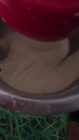 Foto del paso 1 de la receta: Masa de pizza con amasadora eléctrica