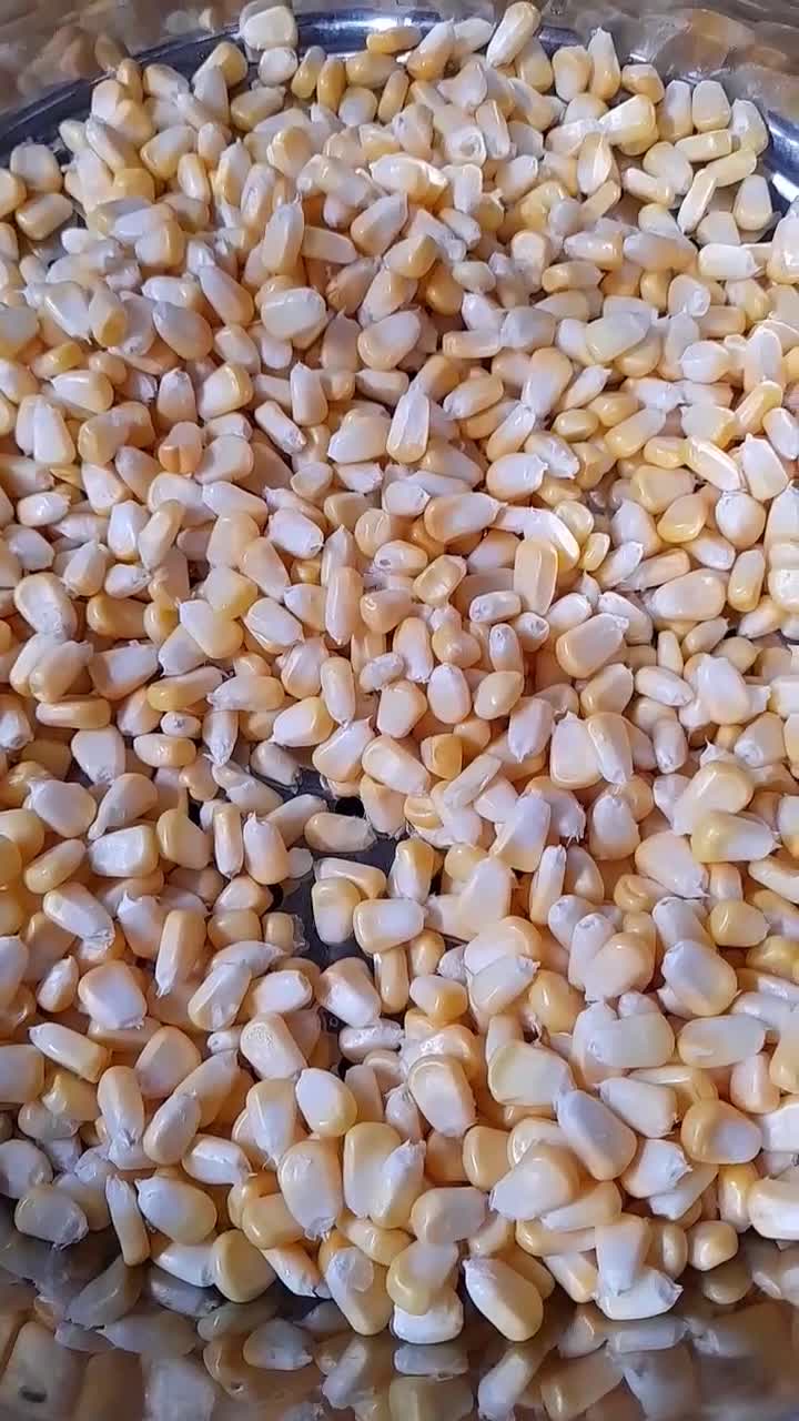 Foto langkah ke 1 dari resep Creamy jasuke.