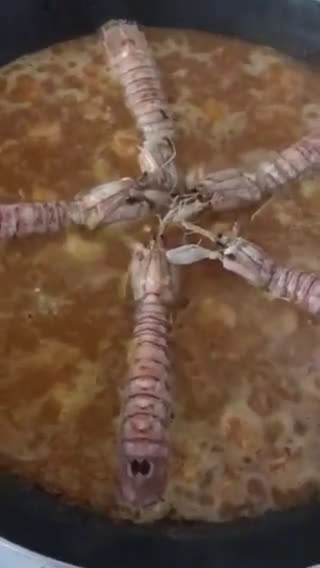 Foto del paso 9 de la receta: Fideuà de galeras y gambitas, al azafrán