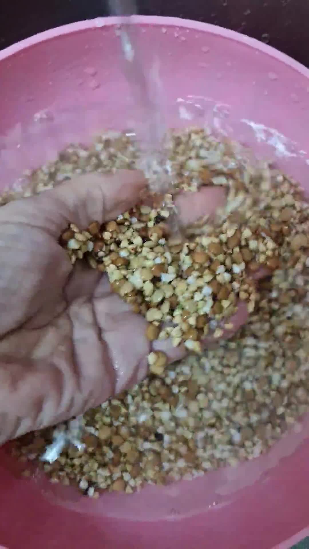 Foto del paso 1 de la receta: Pan de granos de trigo sarraceno y lentejas 🌱 Pan sin harina, sin levadura 🌱 larga fermentación 🌱