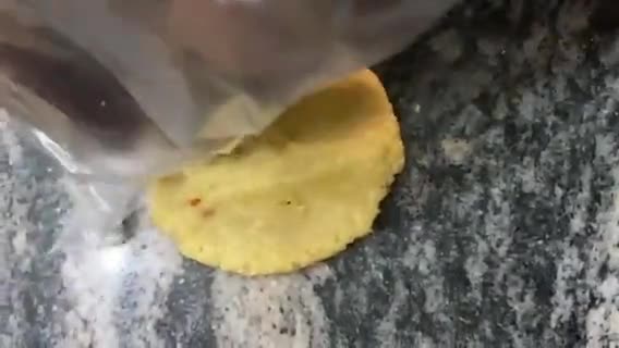 Yar bagalaje (wainar rogo/ kosan rogo)matakin girki5 hoto