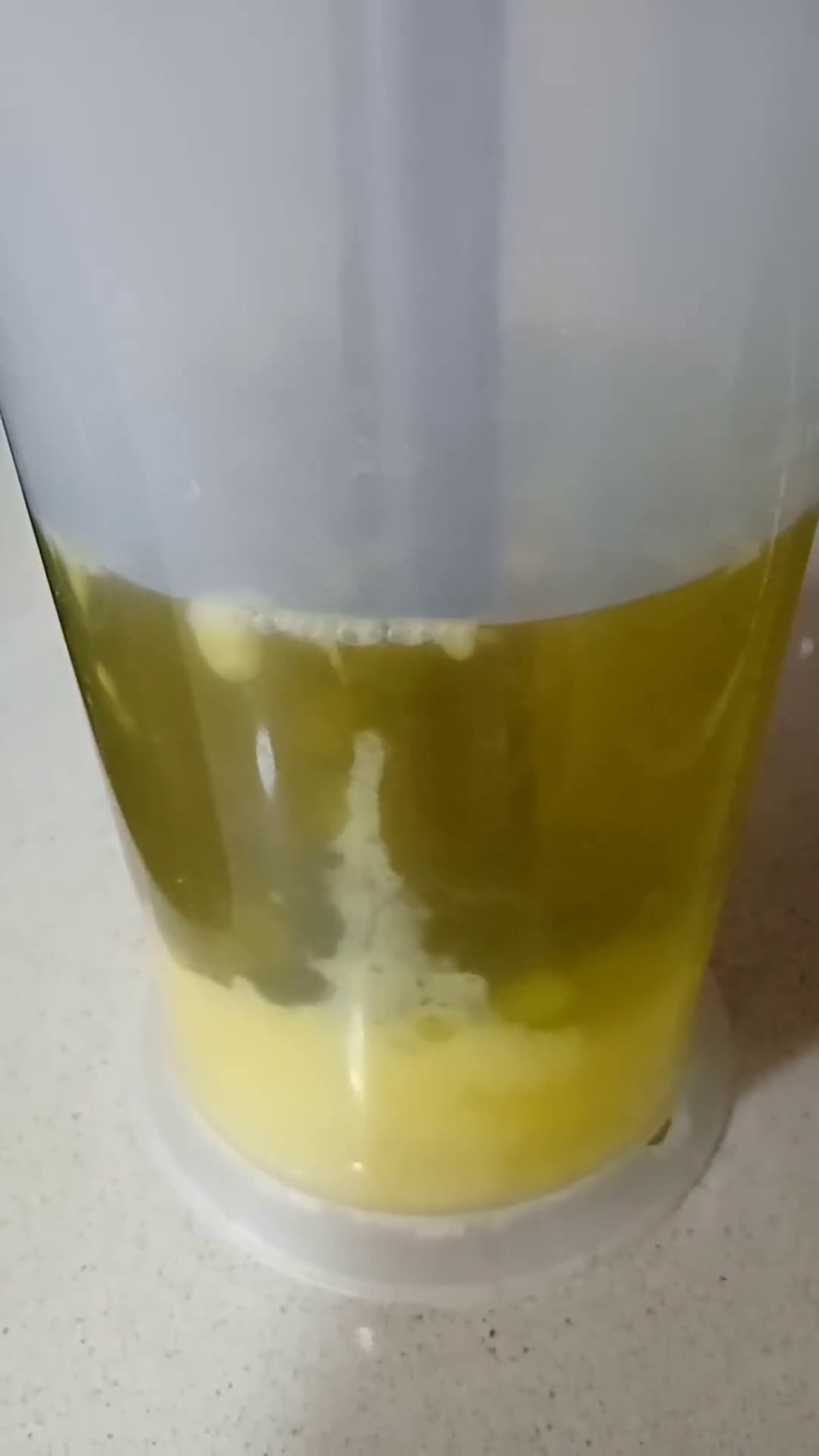 Foto del paso 2 de la receta: Ajonesa casera