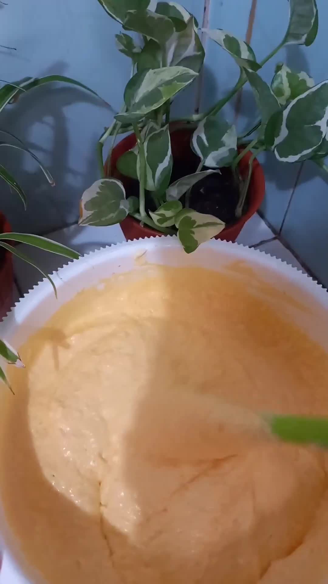Foto langkah ke 4 dari resep Lapis Legit Keju Almond.