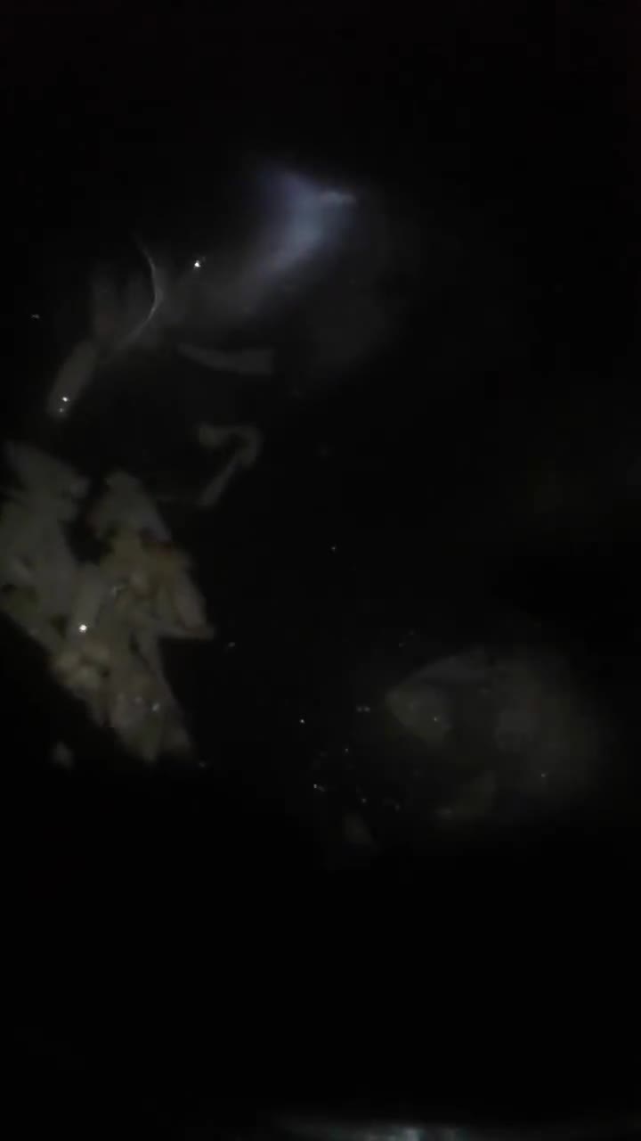 Foto langkah ke 3 dari resep Tumis Bunga Kol tahu sosis.