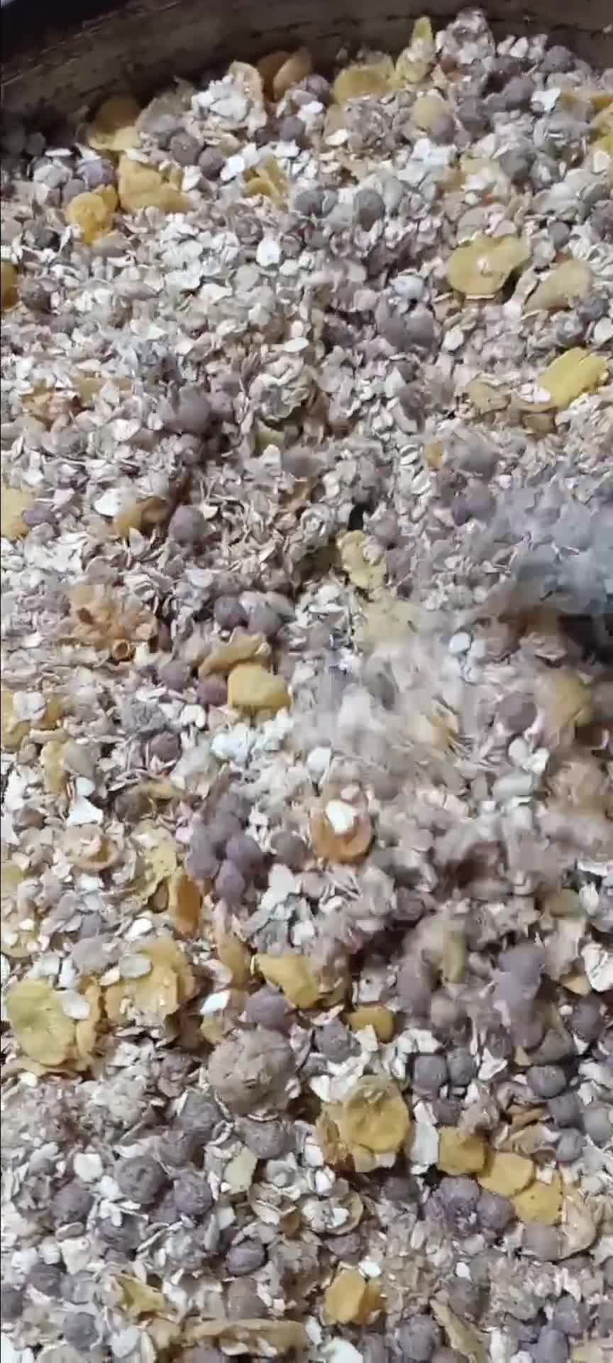 Foto del paso 2 de la receta: Granola casera🤓