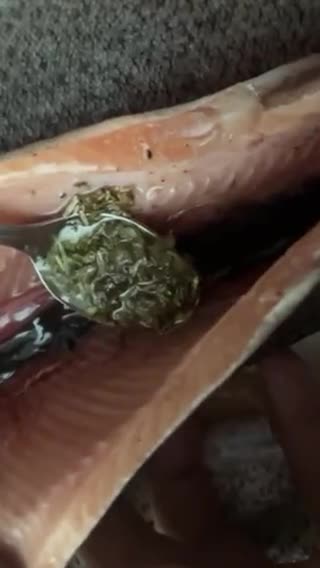Foto del paso 7 de la receta: Trucha a la Navarra, al horno!