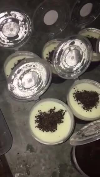 Foto langkah ke 3 dari resep Puding Coklat ala KFC.