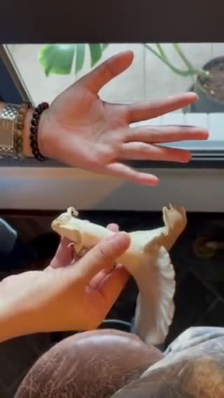［一鍋到底］海苔菇菇蔬食炊穀飯的食譜步驟1照片