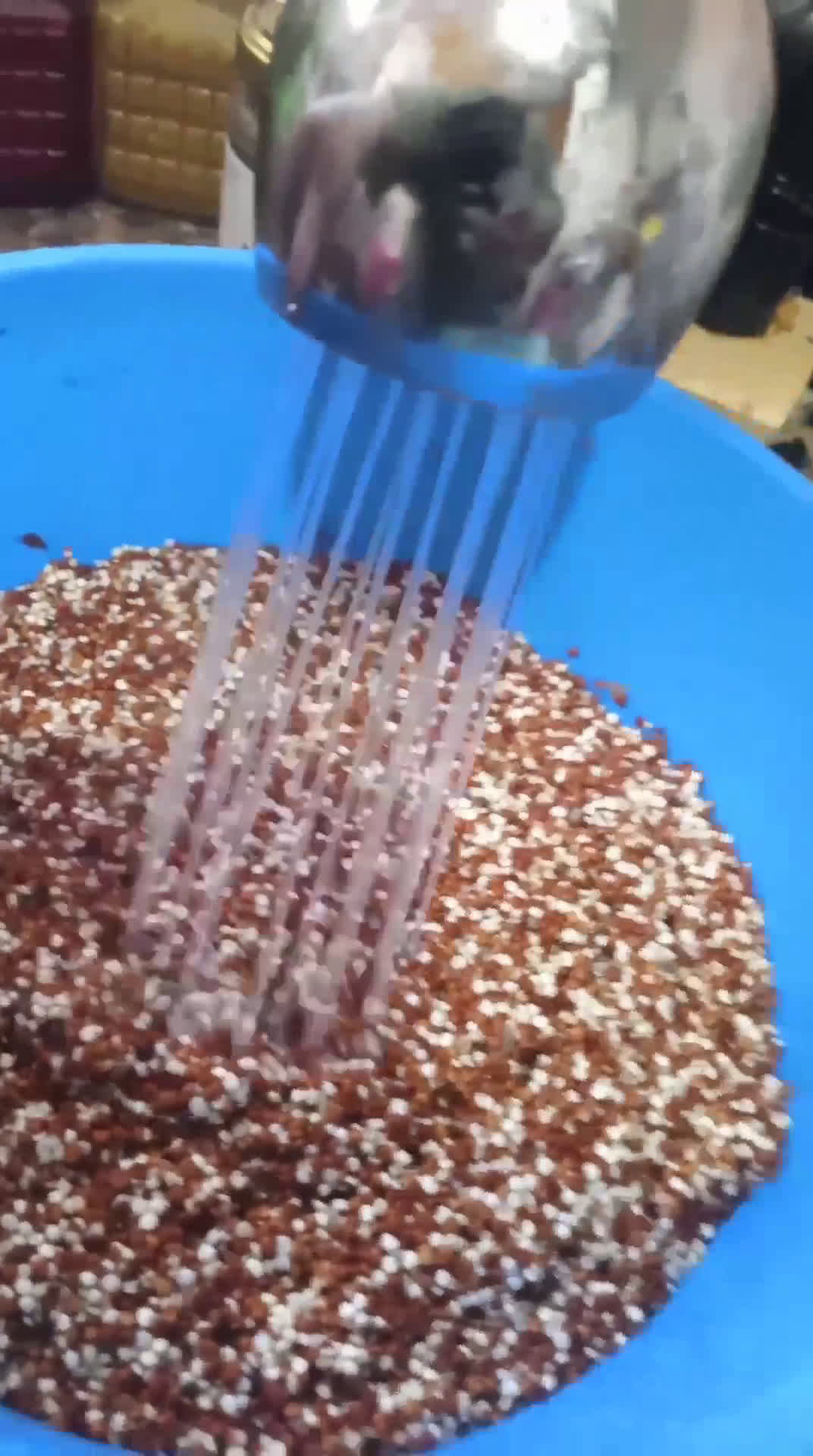 Foto del paso 3 de la receta: Ensalada vegana tibia de quinoa (🌱)