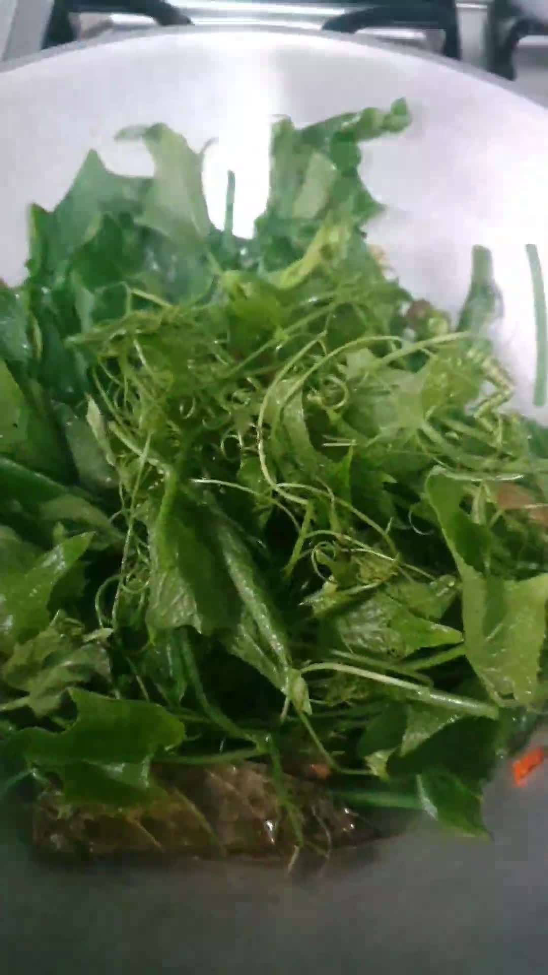 Foto langkah ke 4 dari resep 520. Tumis Pucuk Labu.