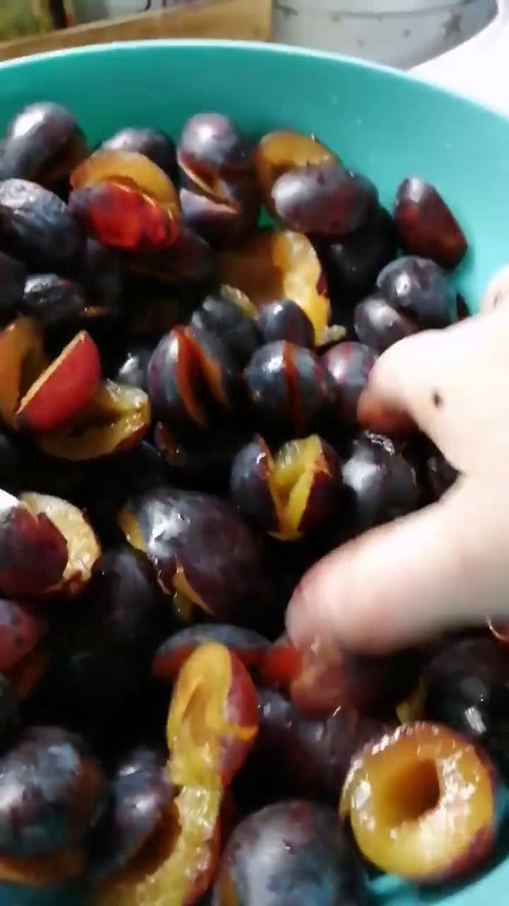 Nutella ze śliwek krok przepisu 1 zdjęcie