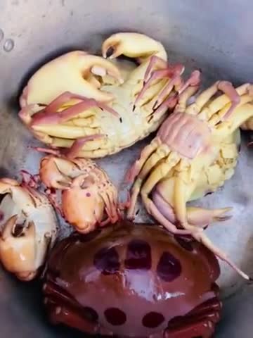 Hình bước làm 9 của món Hải sản Phú Quý hấp: mực ống, cua gạo, cua mặt trăng và nhum tươi