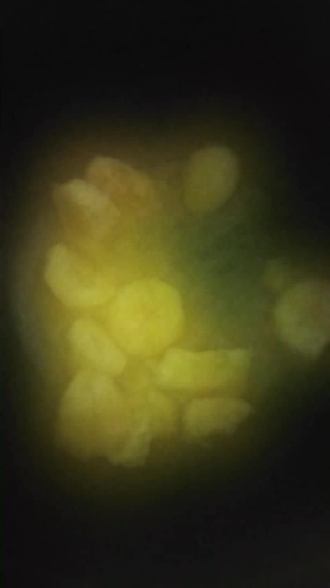 Foto langkah ke 2 dari resep Pisang susu mentega warna warni.