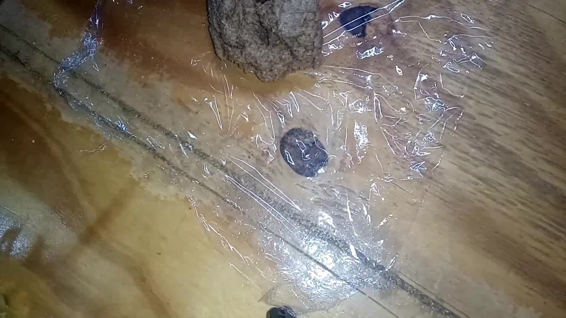 Foto del paso 7 de la receta: Galletitas de jengibre para diabéticos