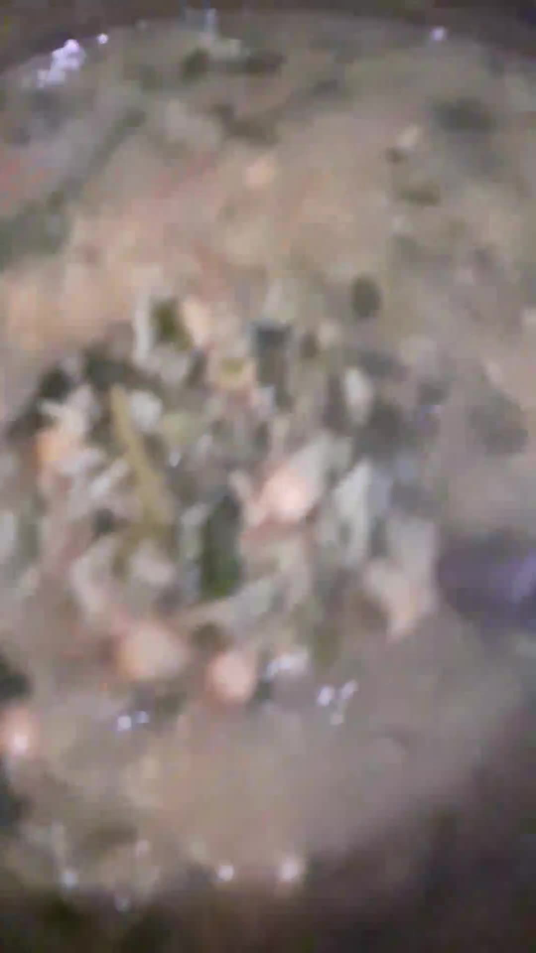 عکس مرحله 2 از دستور آش پرپین (آش خرفه)