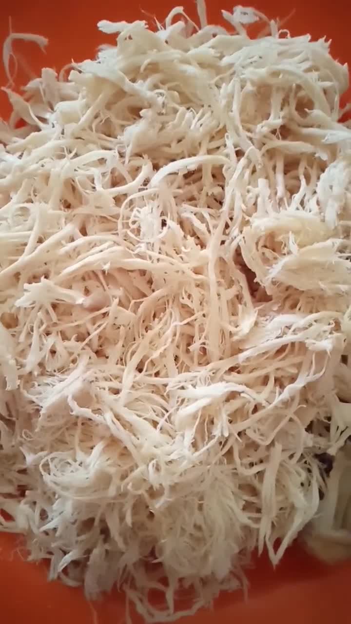 Foto langkah ke 3 dari resep Abon Ayam HomeMade.