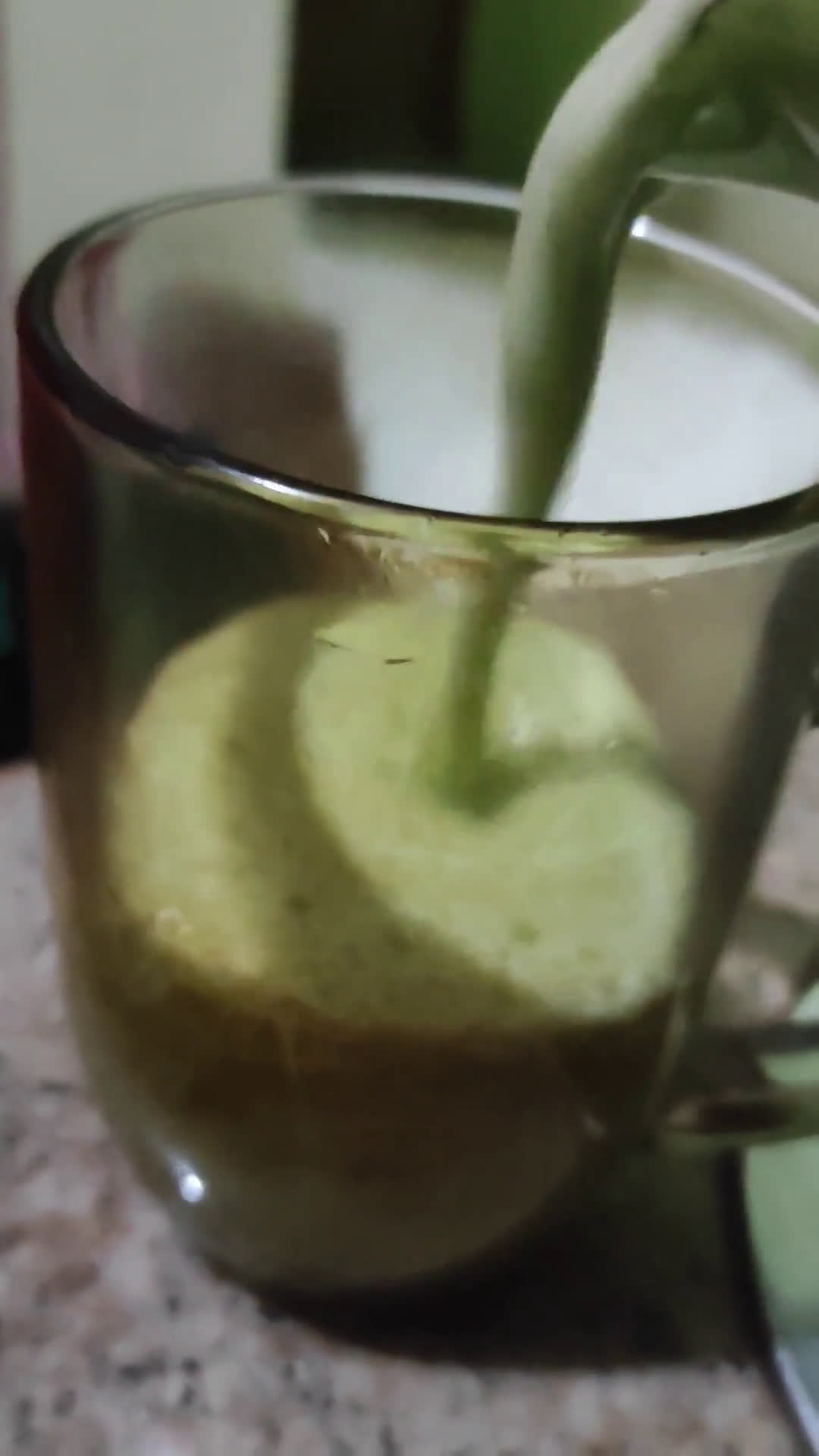 Foto langkah ke 3 dari resep Green Smoothies Pokcoy Timun Apel.