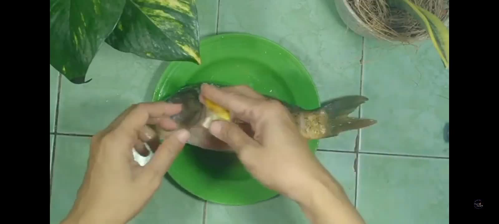 Foto langkah ke 1 dari resep Pepes Ikan Mas.