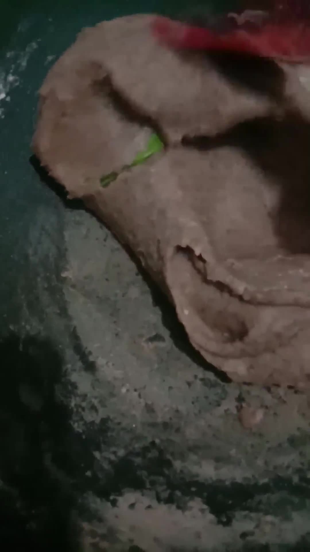 Foto langkah ke 4 dari resep Tausha kacang merah (untuk isian Pao atau roti).