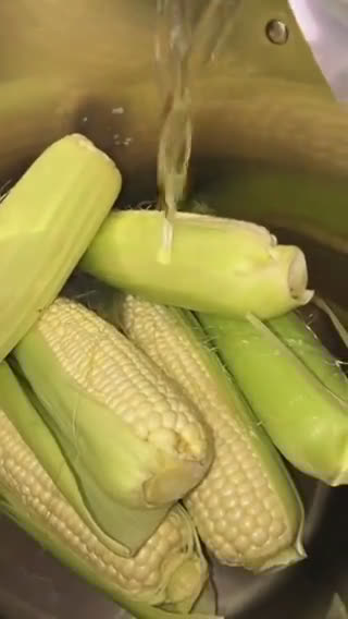 Foto del paso 1 de la receta: Tradicionales chascas de Teocaltiche, Jal
