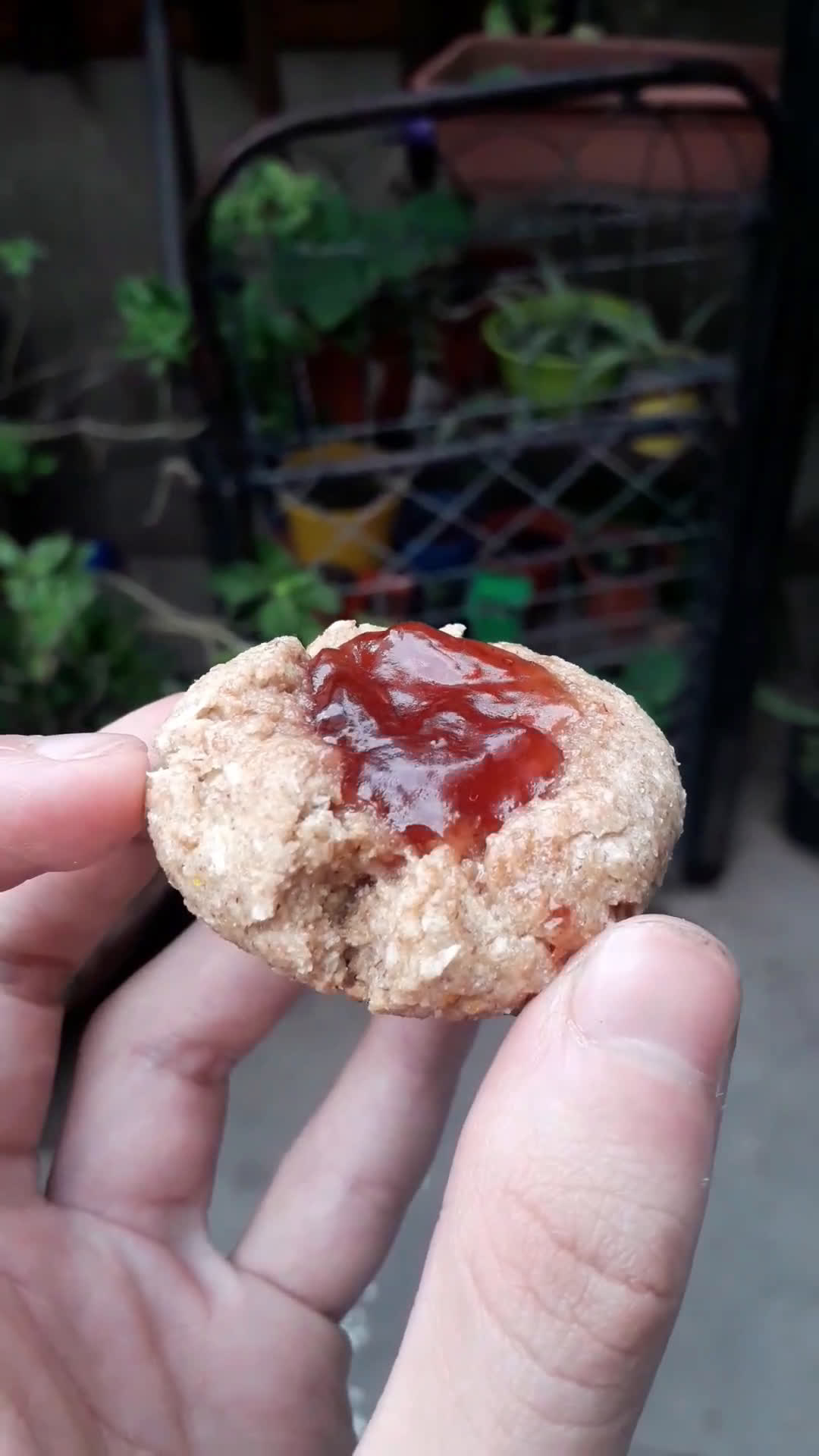 Foto del paso 4 de la receta: Pepas de harina integral, naranja y vainilla 😁