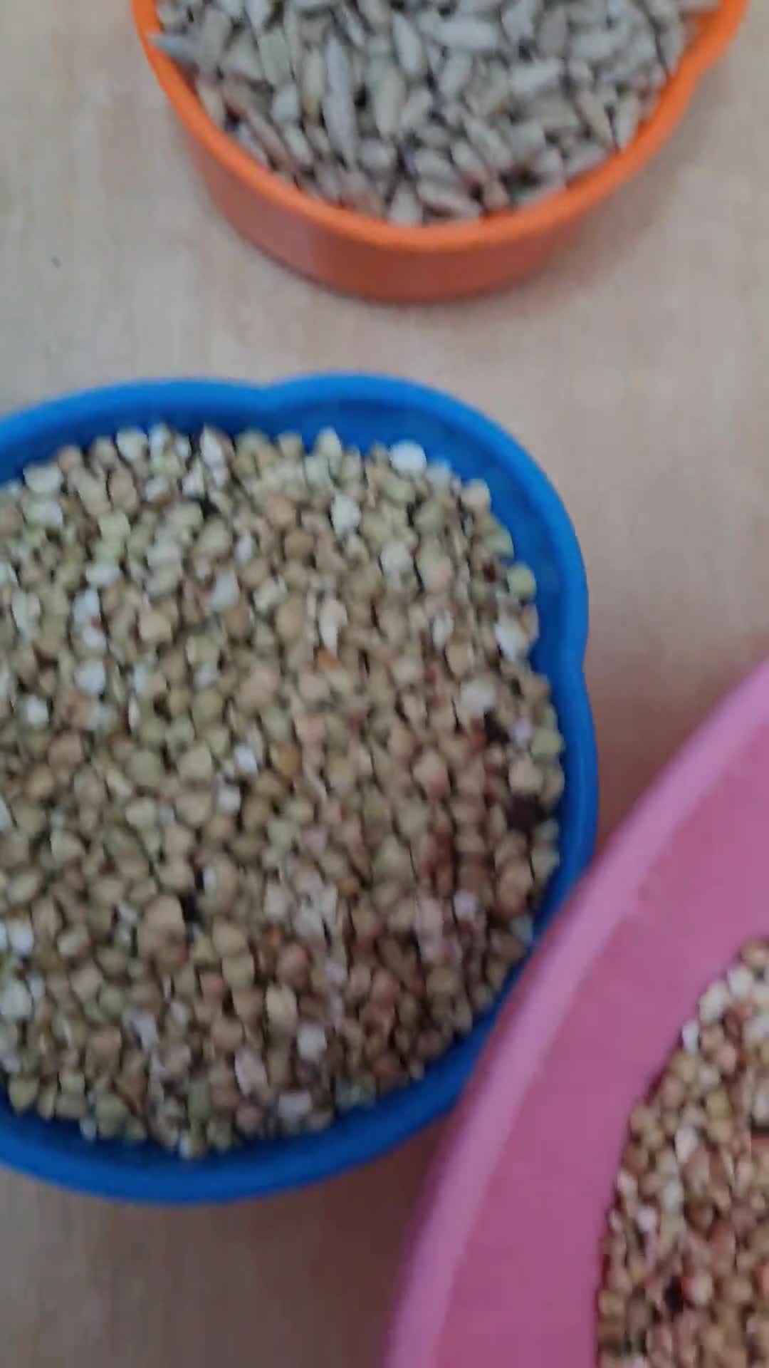 Foto del paso 1 de la receta: Pan plano de trigo sarraceno en grano con nueces y semillas de girasol, 36 h. de fermentación ♥