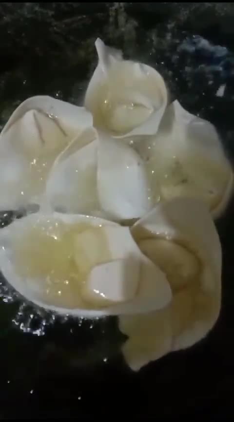 Foto langkah ke 7 dari resep Pangsit isi goreng.