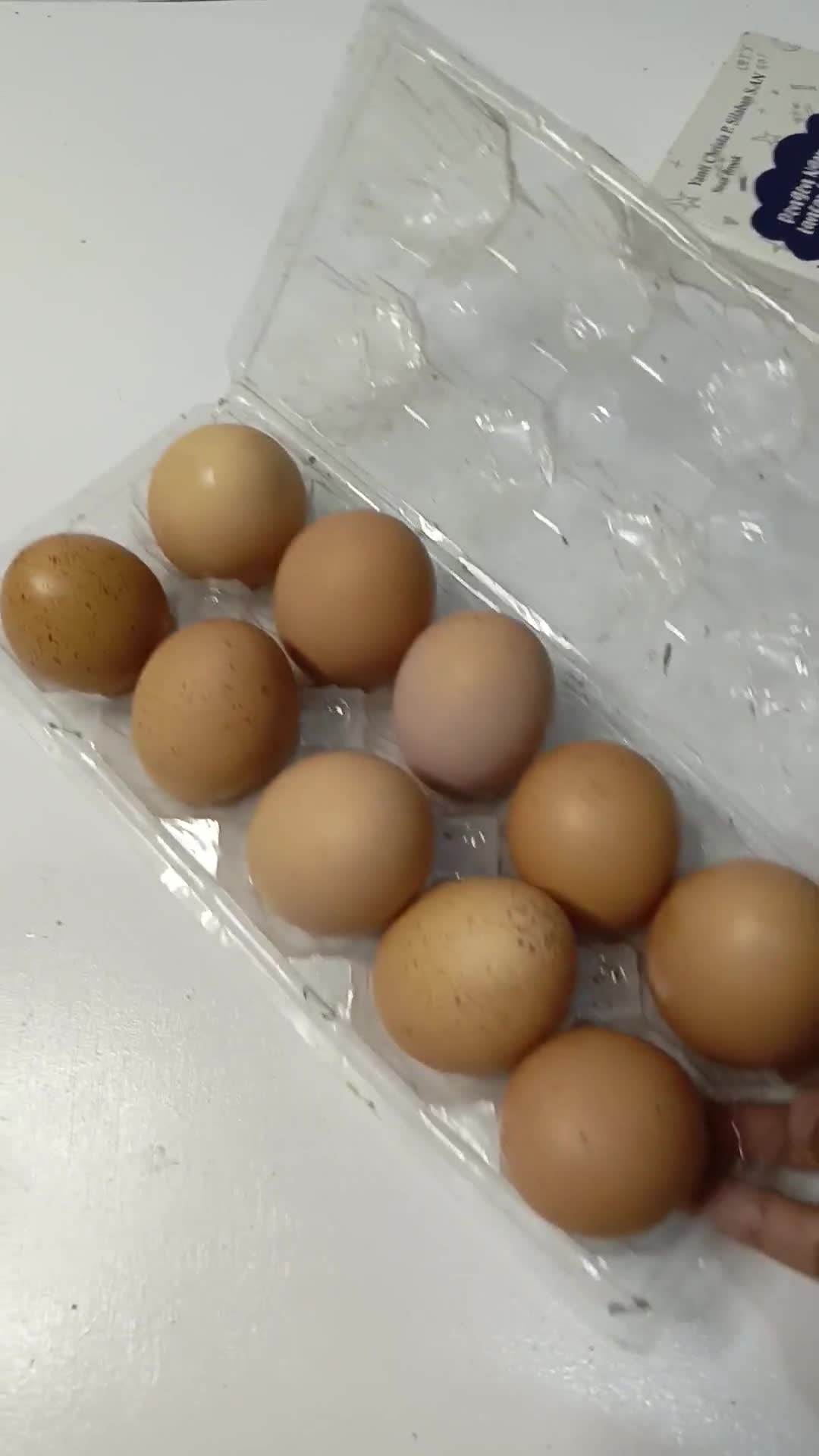 Foto langkah ke 1 dari resep Kicik telur.
