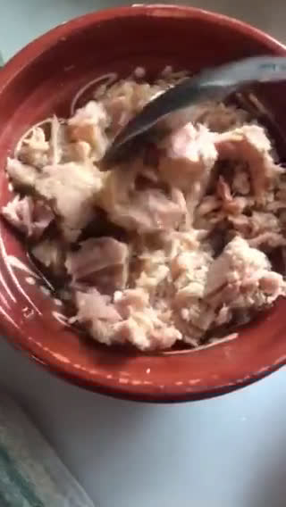 Foto del paso 10 de la receta: Empanadas gallegas con masa casera de espelta integral