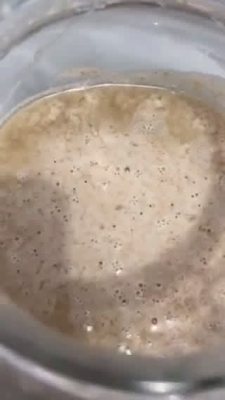 Foto langkah ke 3 dari resep Ragi alami (starter untuk sourdough bread).